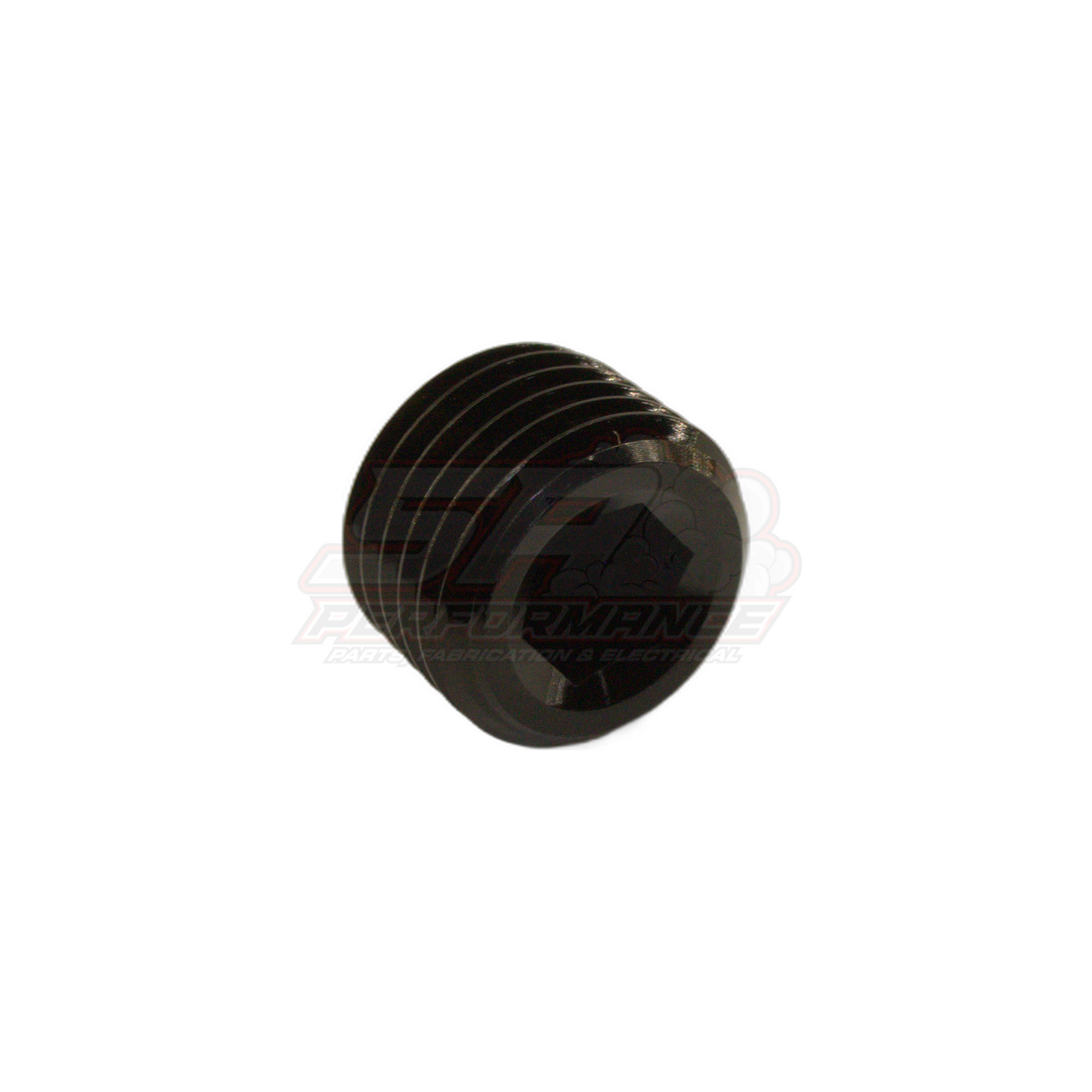 1/4" NPT Port Plug