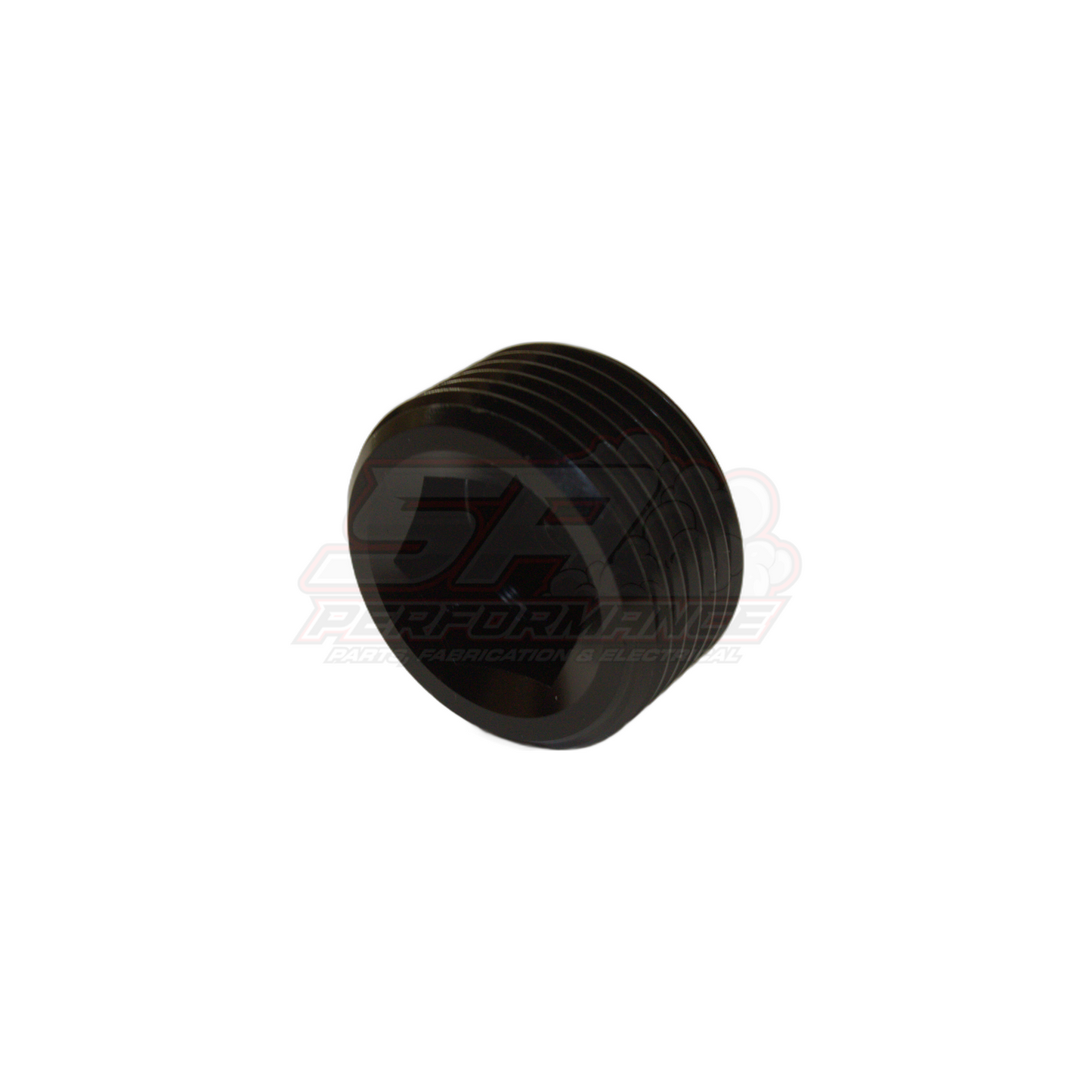3/4" NPT Port Plug