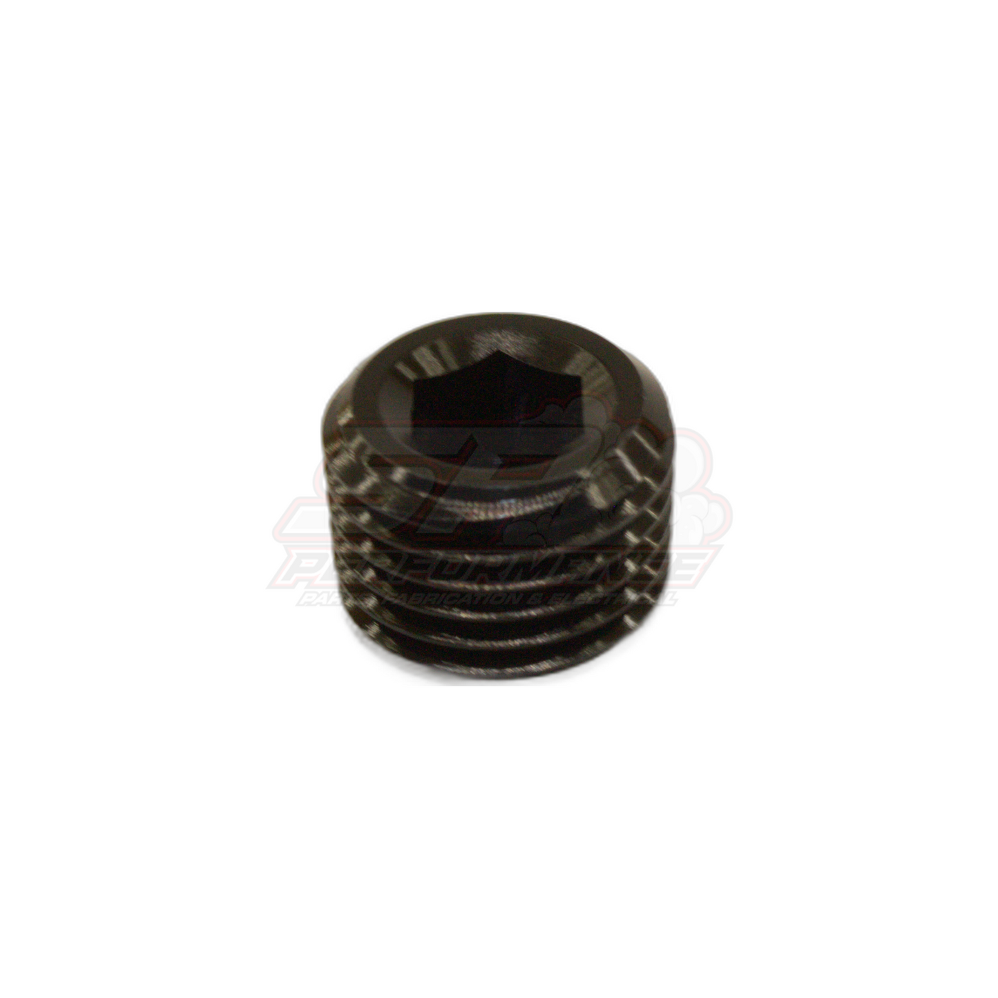 1/4" NPT Port Plug