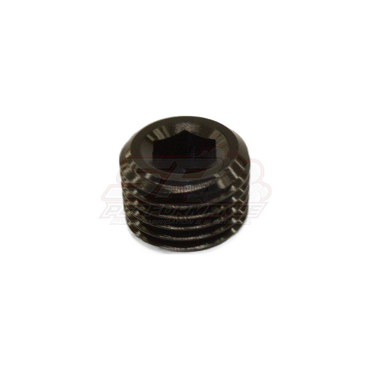1/4" NPT Port Plug