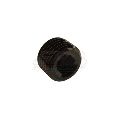 1/4" NPT Port Plug