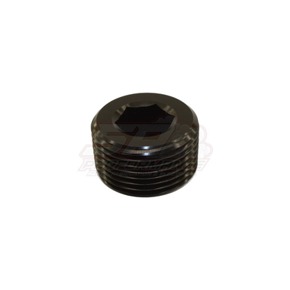 1" NPT Port Plug