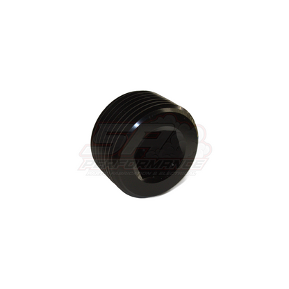 1" NPT Port Plug