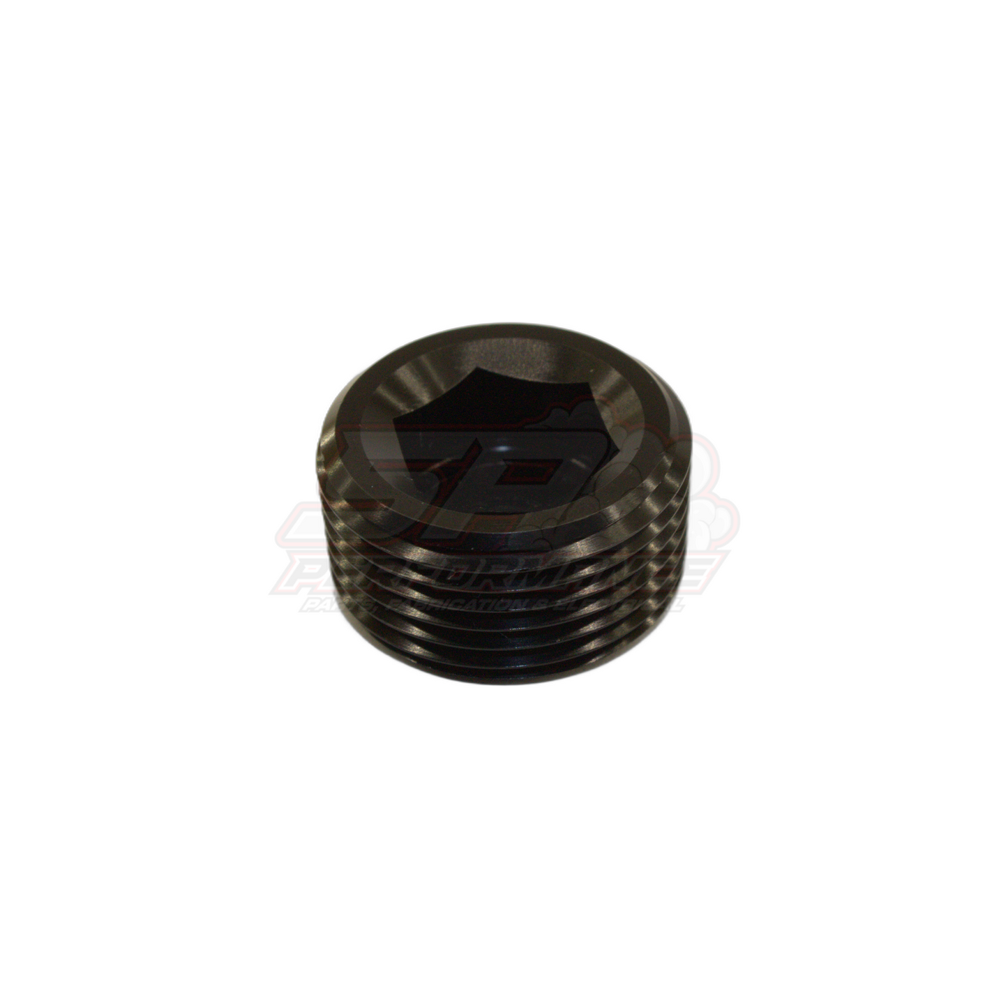 3/4" NPT Port Plug